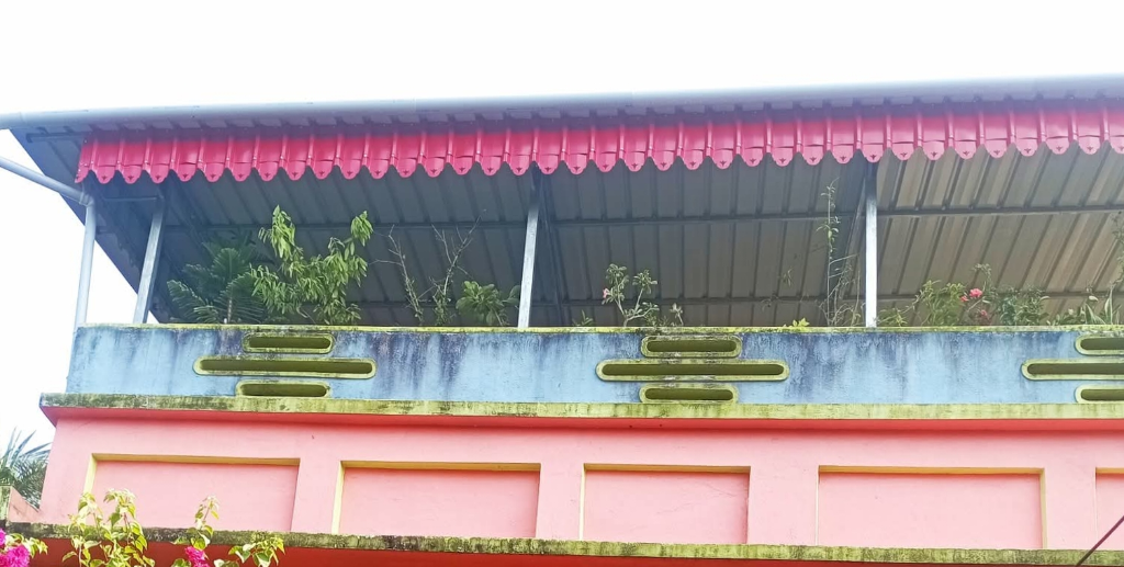 টিনের শেড ইন্সটলেশন
